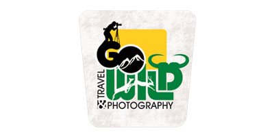 GO WILD photography