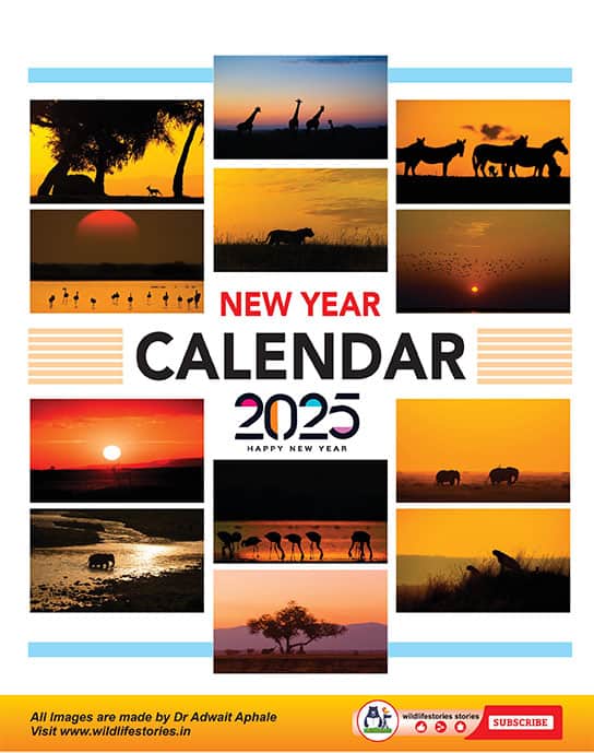 new-year-calender-2025-by-dr-adwait-aphaale